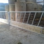 Cattle feed barriers (diaganal tubes).