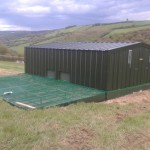 Pheasant rearing house and run on raised bed