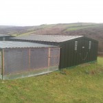 Pheasant rearing house and shelter pen on raised bed