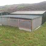Pheasant rearing house and shelter pen on raised bed.