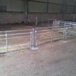 Sheep feed barriers with removable bar