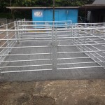 Sheep penning (9ft x 12ft loading bay)