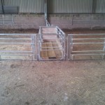 Walkthrough sheep feeder with feed barriers with gates in